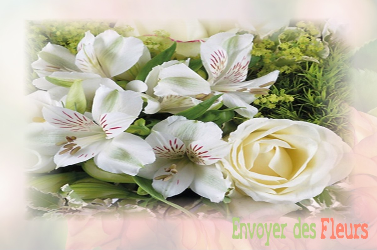 envoyer des fleurs à à SAINT-JEAN-SUR-VILAINE